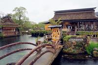 忍野八海.jpg